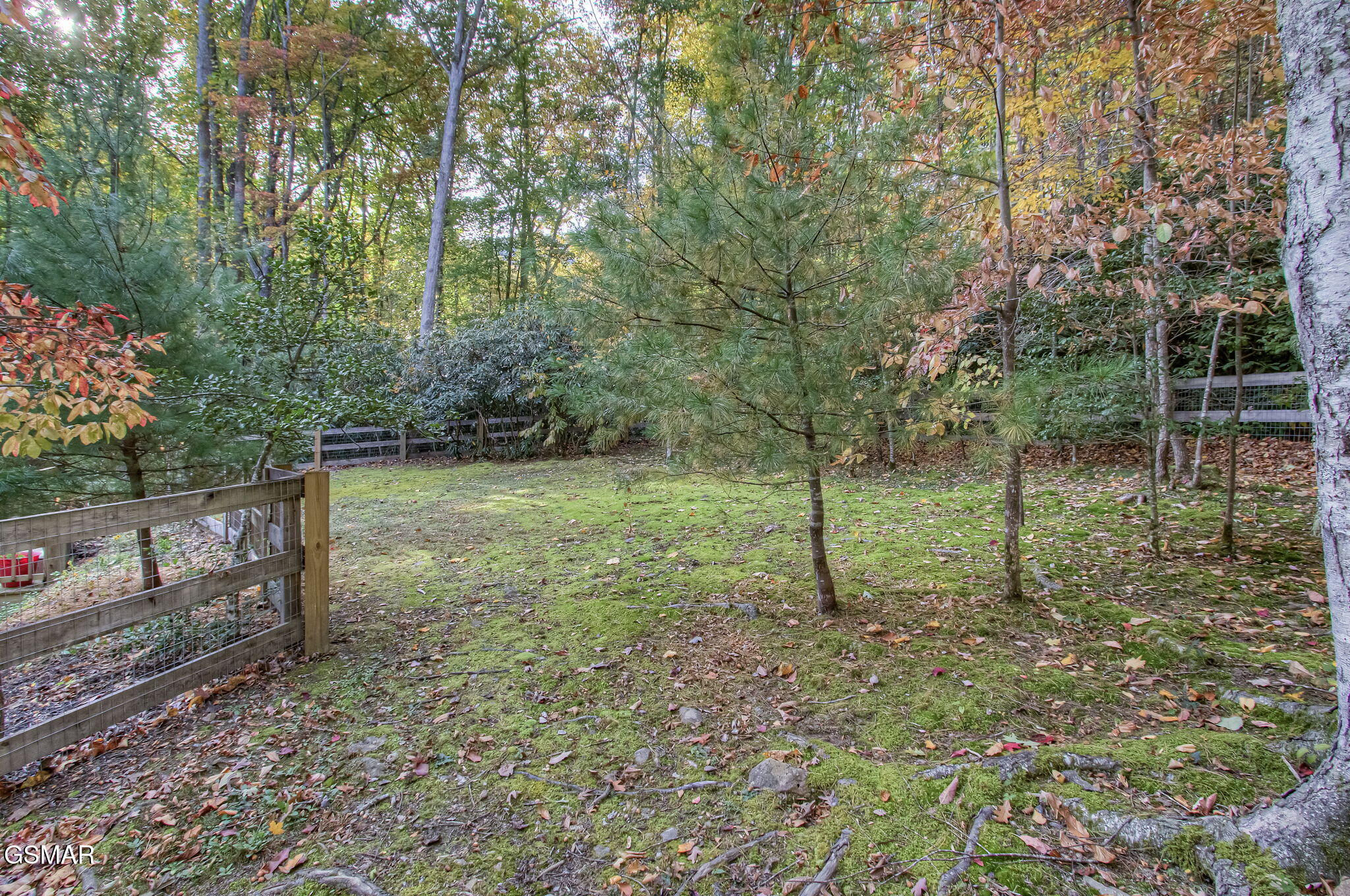 3950 Forest Trail Drive Sevierville TN 37876