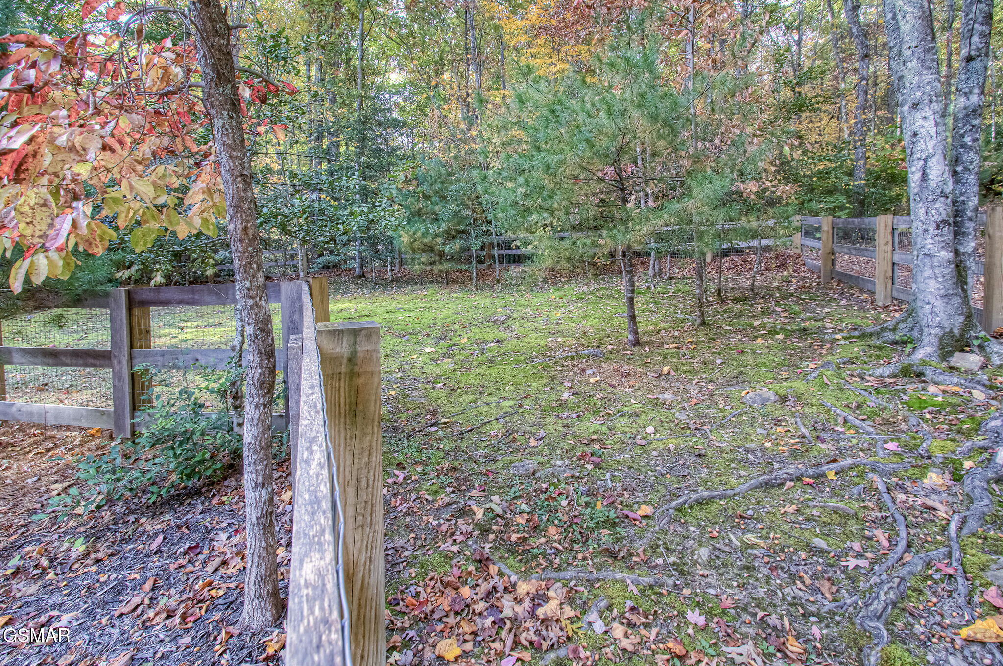3950 Forest Trail Drive Sevierville TN 37876