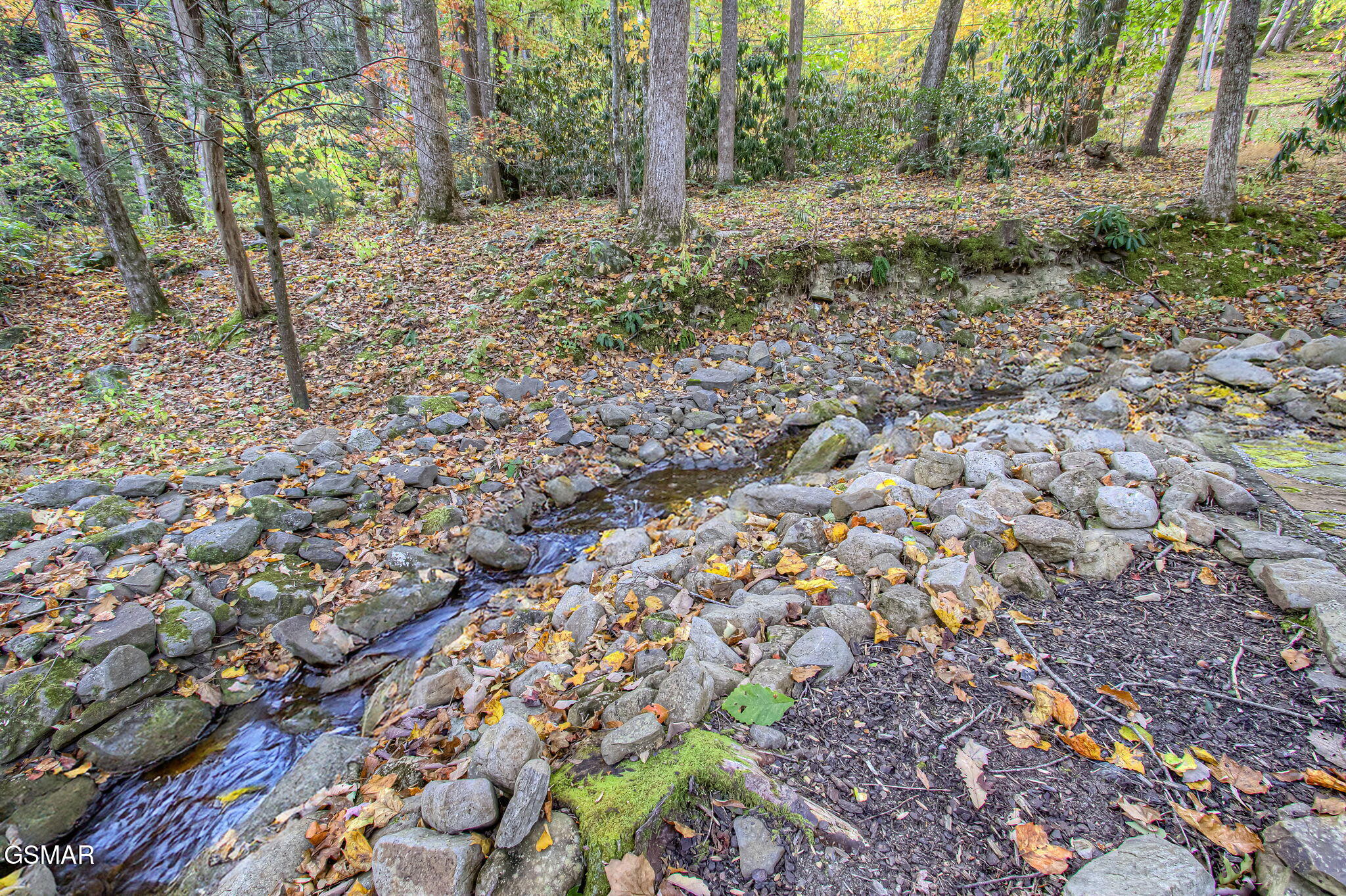 3950 Forest Trail Drive Sevierville TN 37876