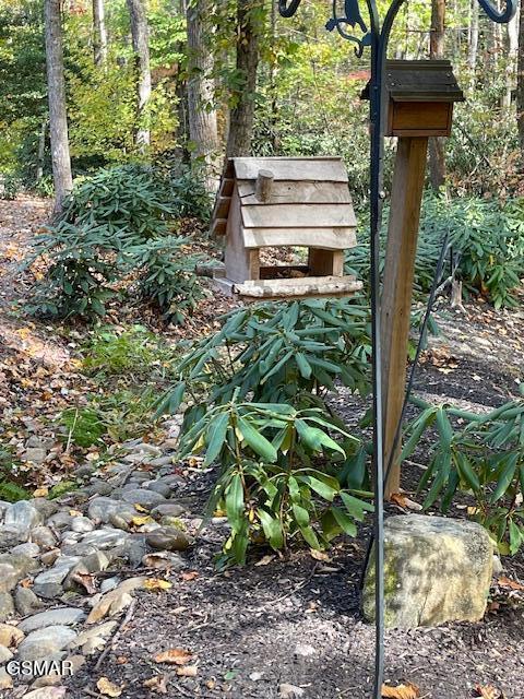 3950 Forest Trail Drive Sevierville TN 37876