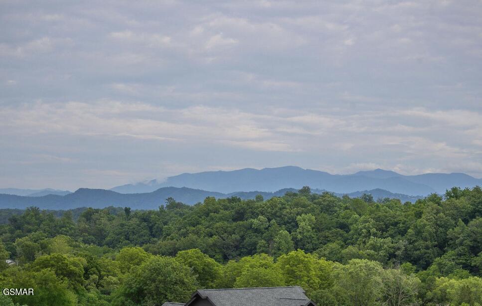 1339 Wildhorse Ridge Way Sevierville TN 37862