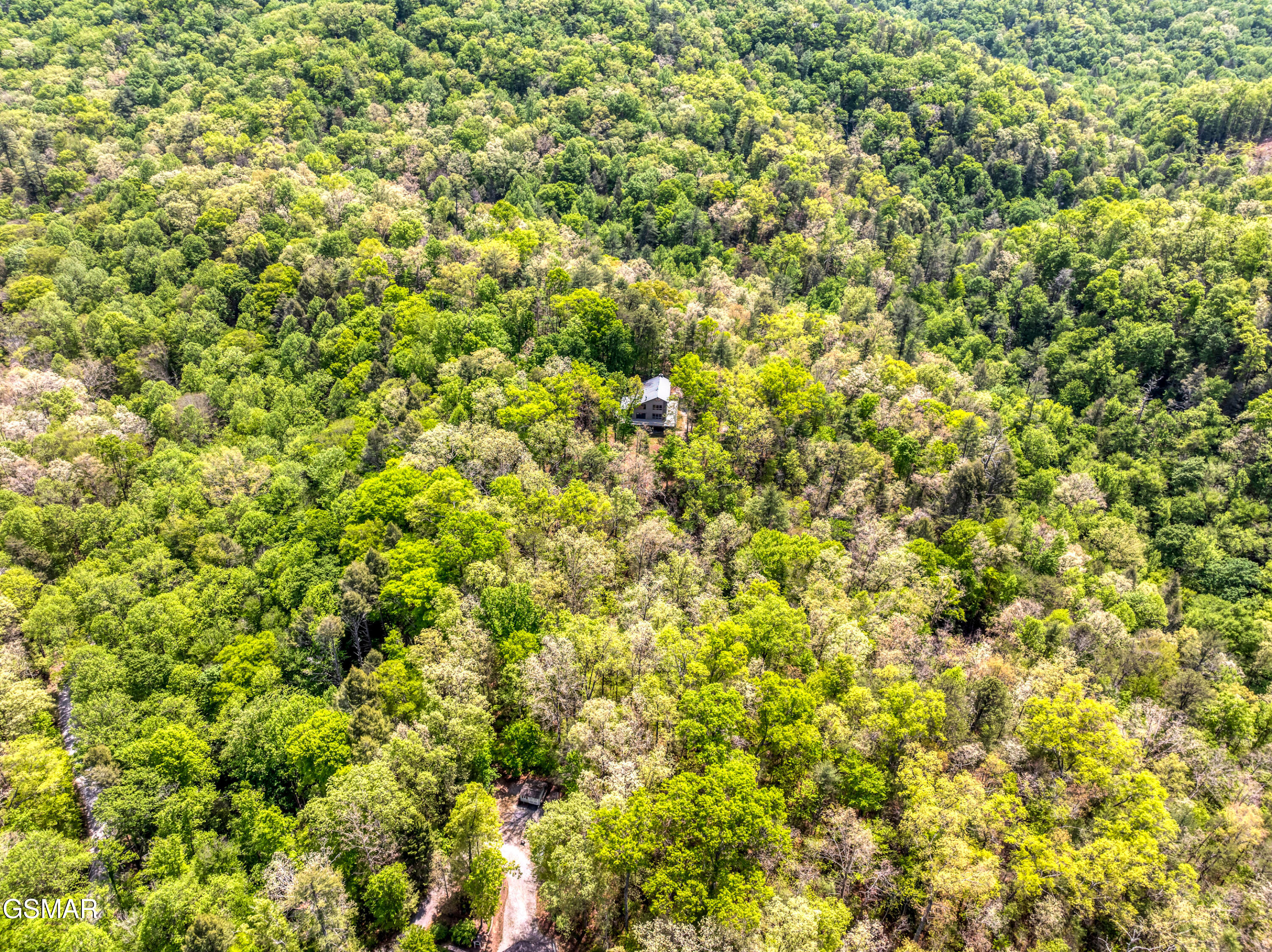 2210 Turkey Roost Road Walland TN 37886