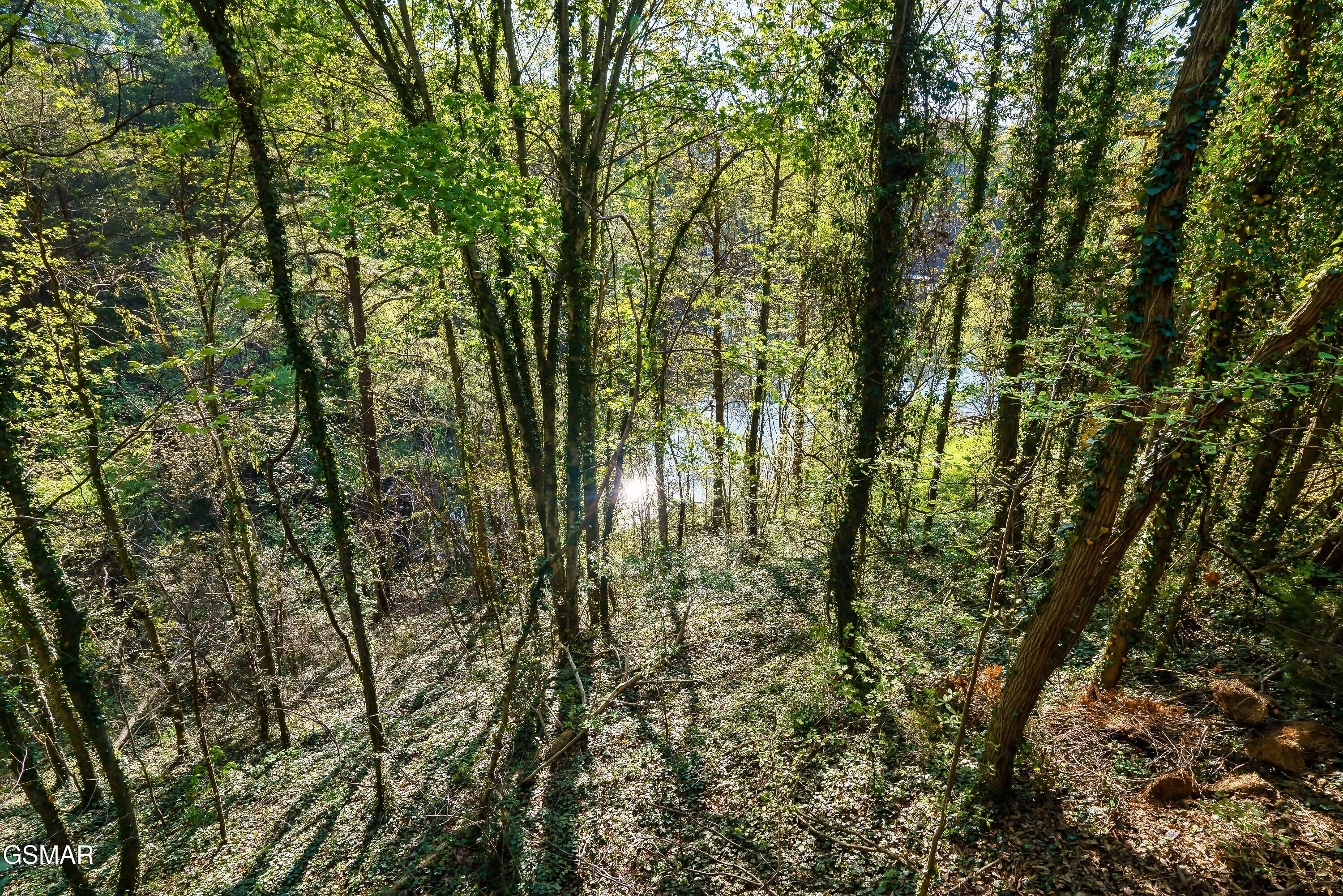 2306 Bonnie Lane Sevierville TN 37876