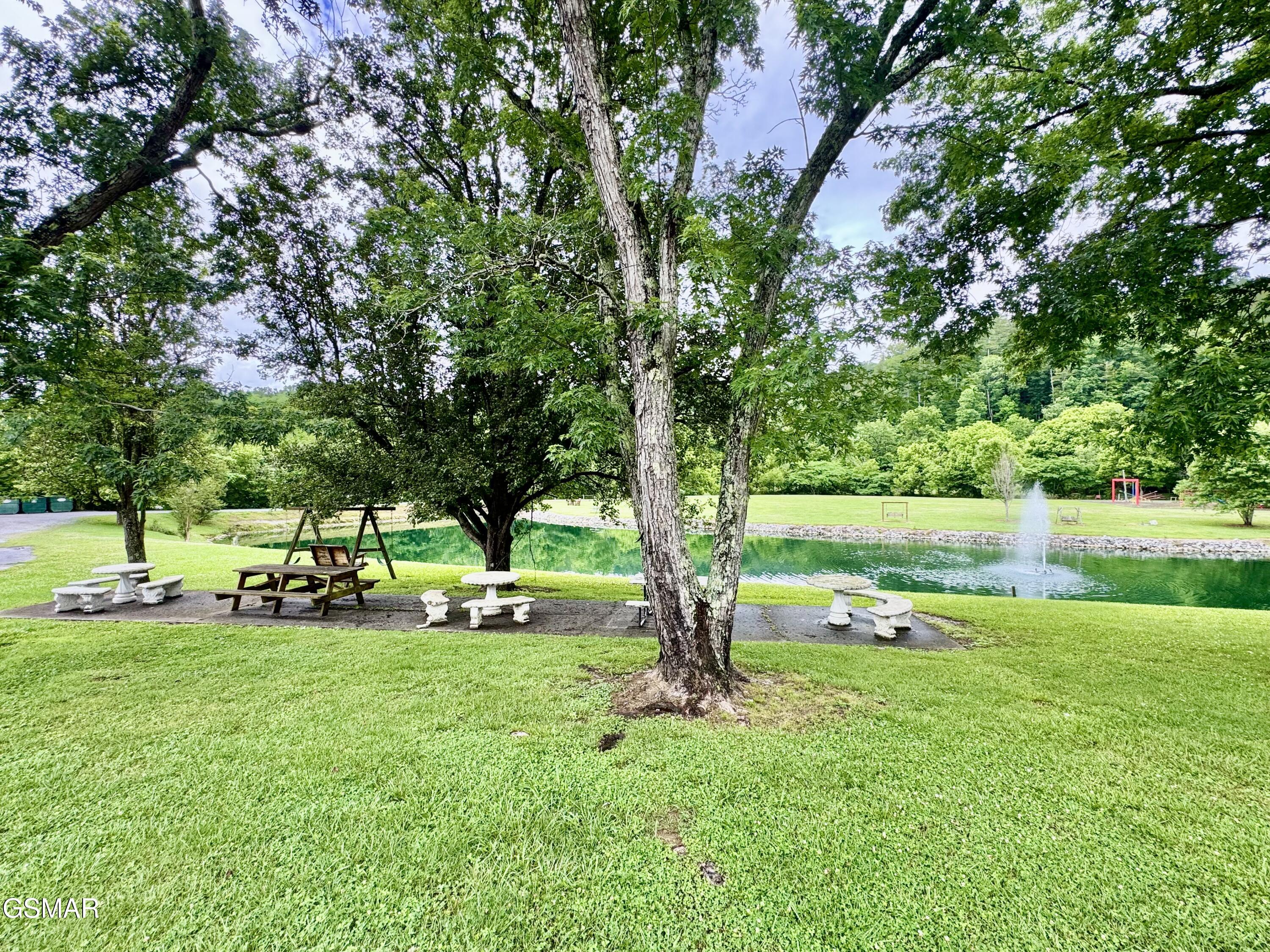 401 Mountain Thrush Drive Townsend TN 37882