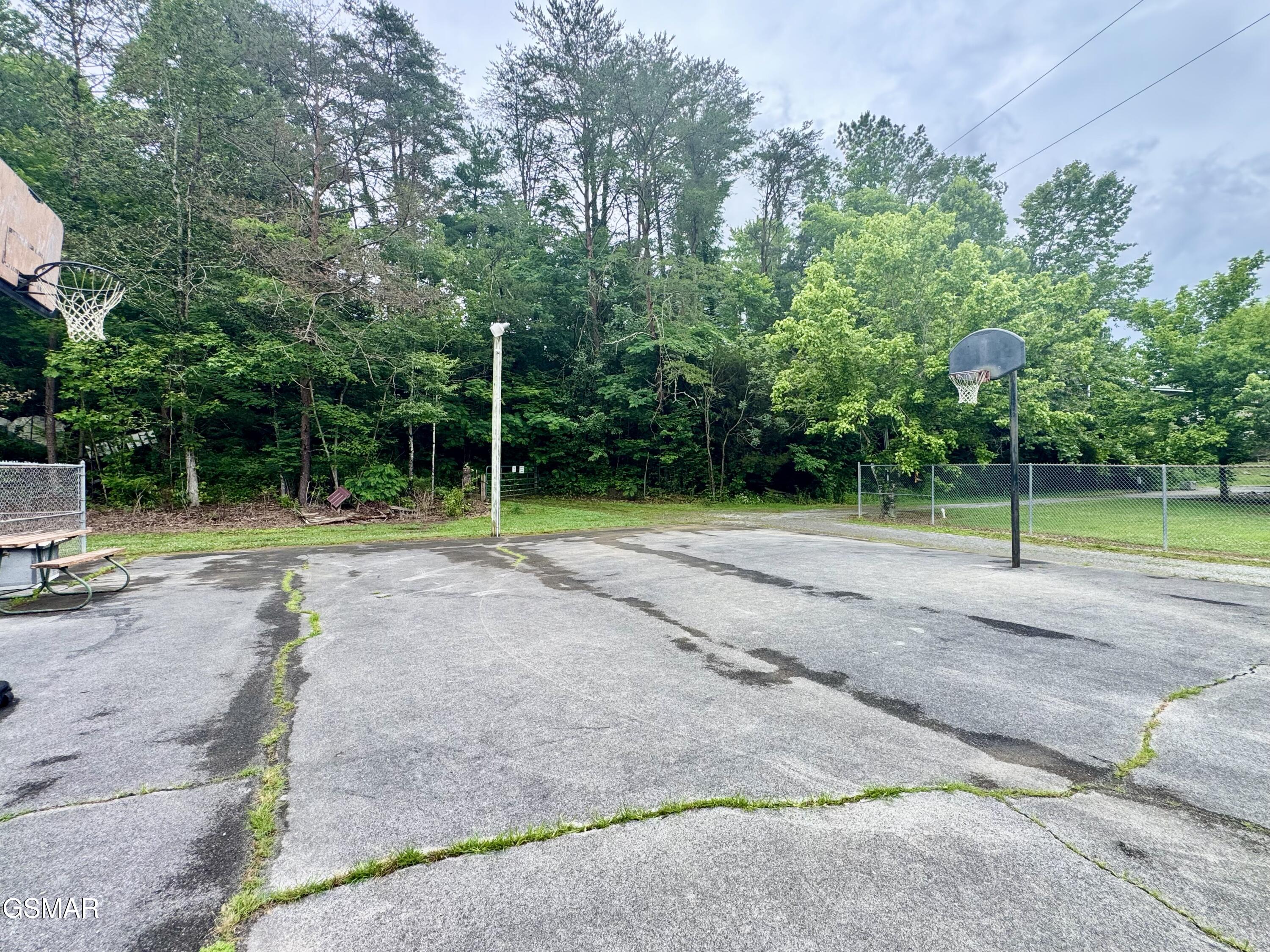 401 Mountain Thrush Drive Townsend TN 37882