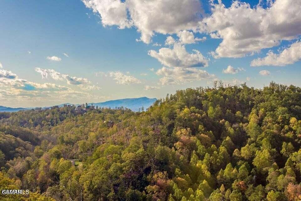 1860 Billard Way Sevierville TN 37876