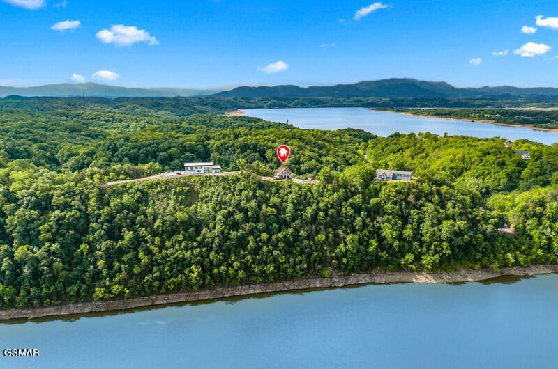 313 River Bluff Way Newport TN 37821