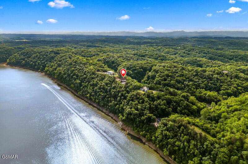 313 River Bluff Way Newport TN 37821