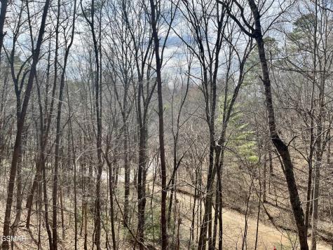 1520 Ski View Lane Sevierville TN 37876