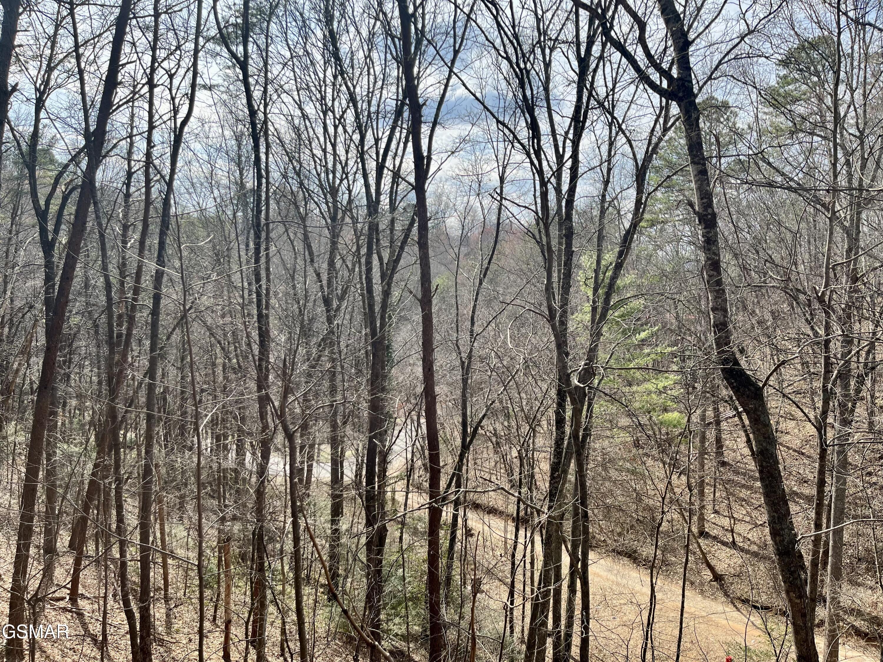 1520 Ski View Lane Sevierville TN 37876