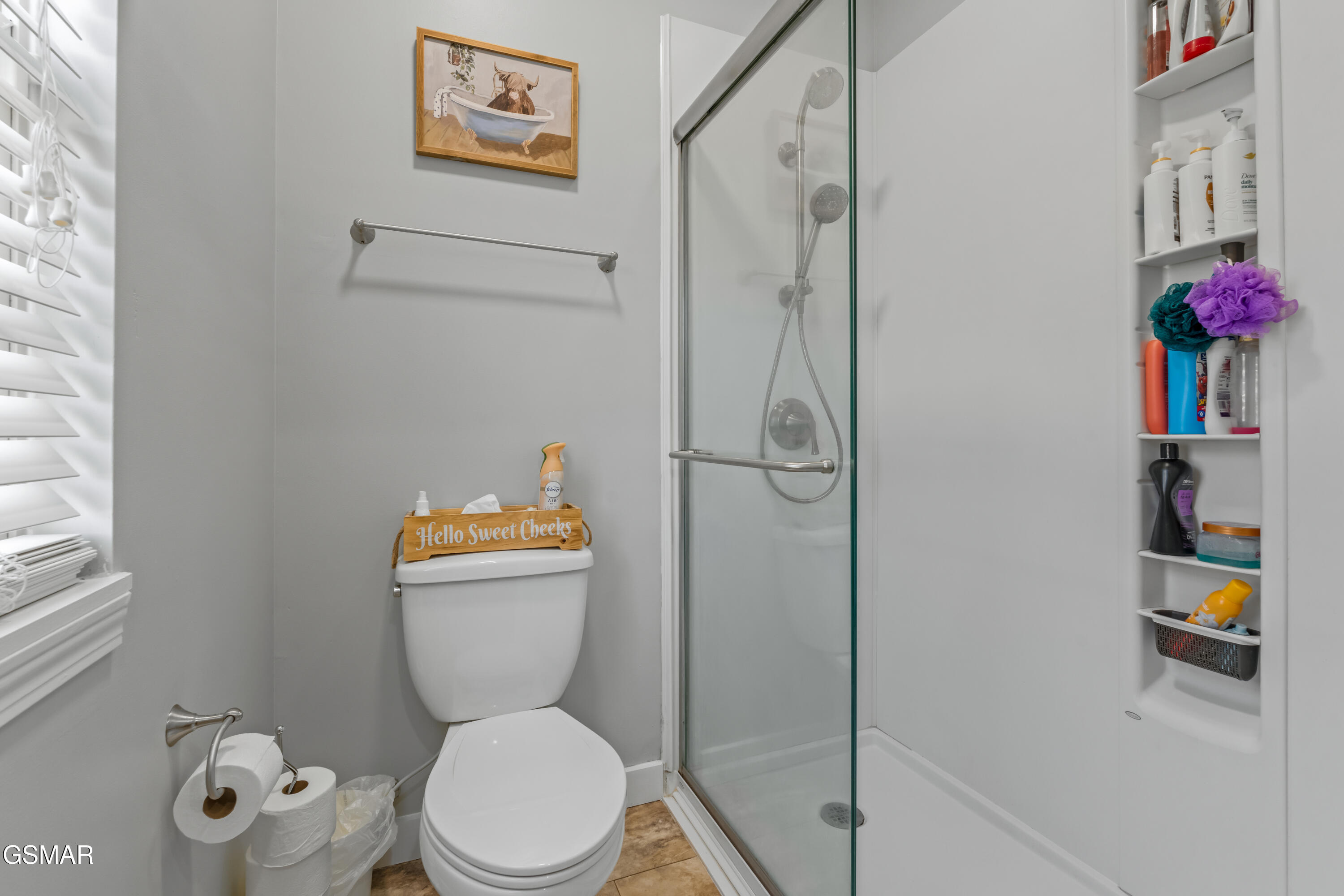 104 Latonia Drive Seymour TN 37865