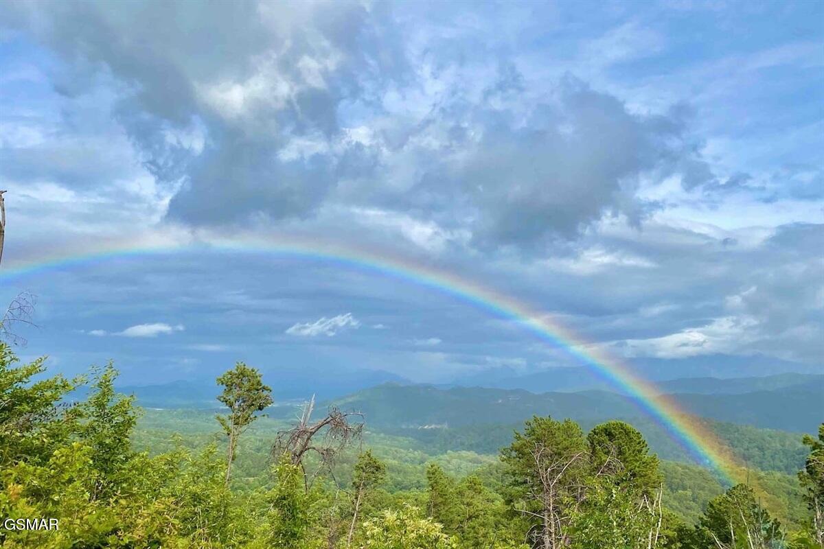 2086 Bluff Mountain Road Sevierville TN 37876
