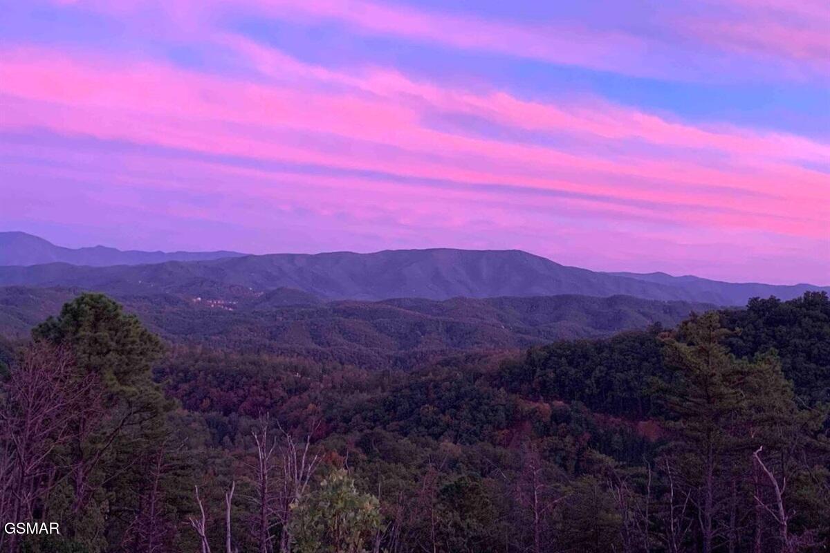 2086 Bluff Mountain Road Sevierville TN 37876