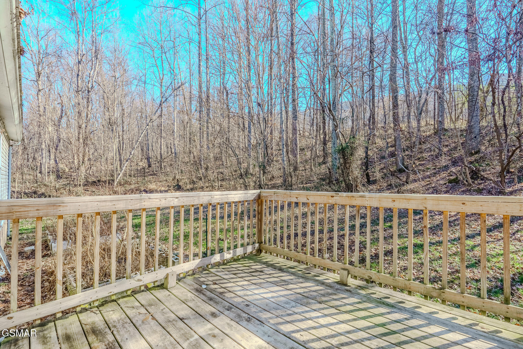810 Layman Drive Dandridge TN 37725