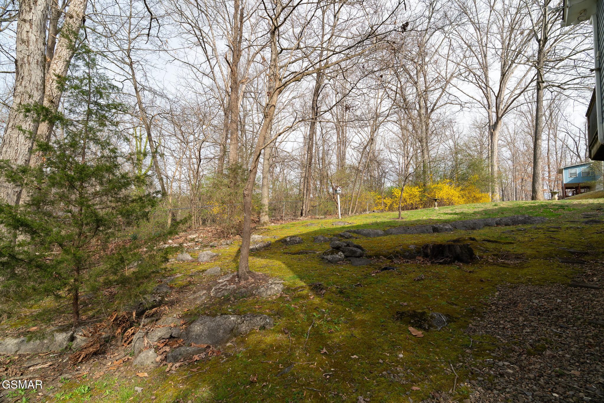 1505 Timber Trail Newport TN 37821