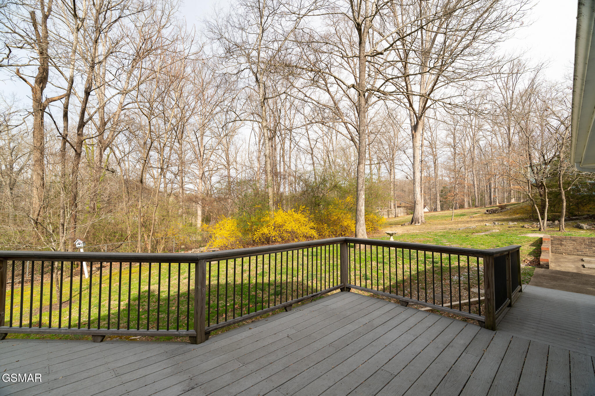 1505 Timber Trail Newport TN 37821