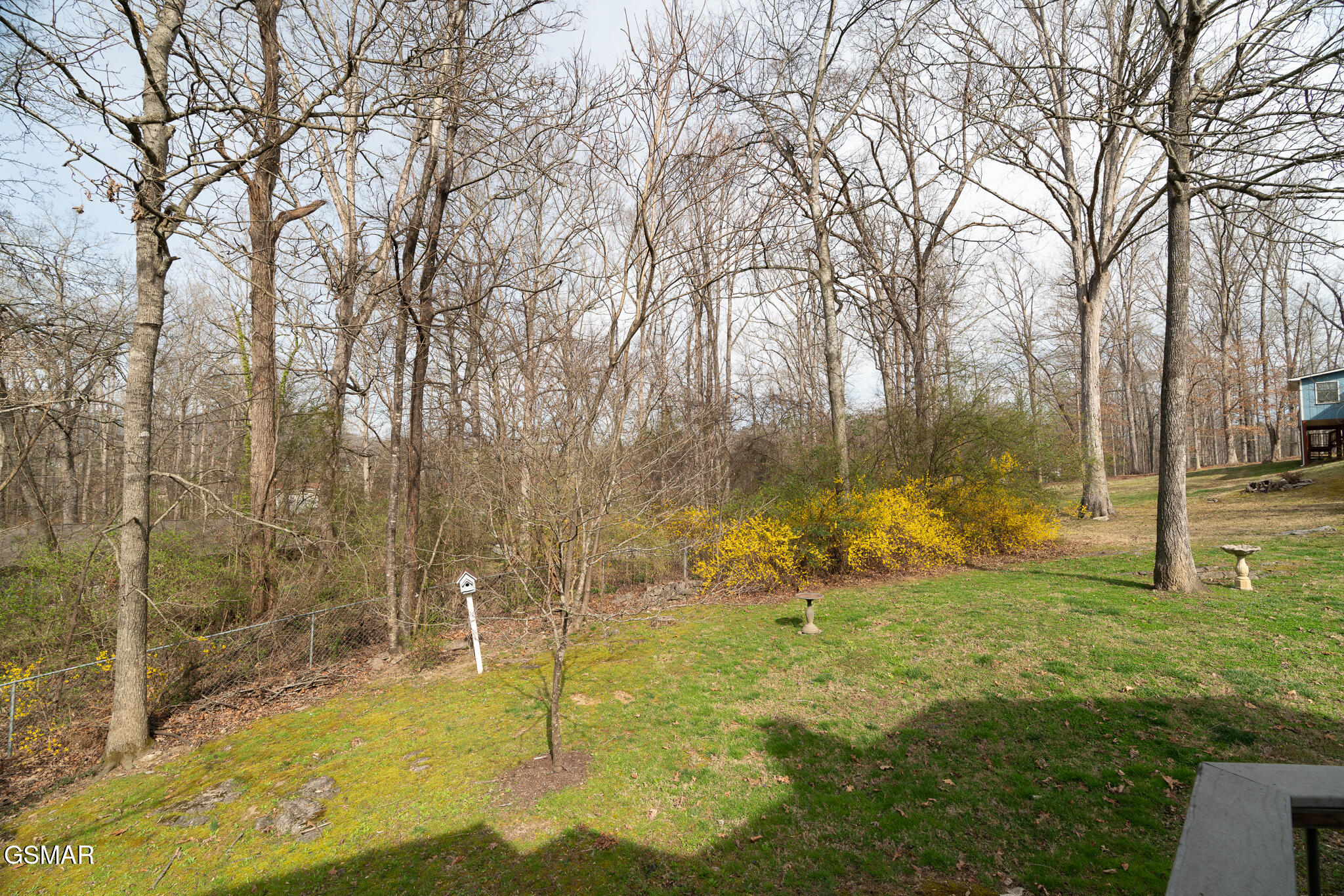 1505 Timber Trail Newport TN 37821