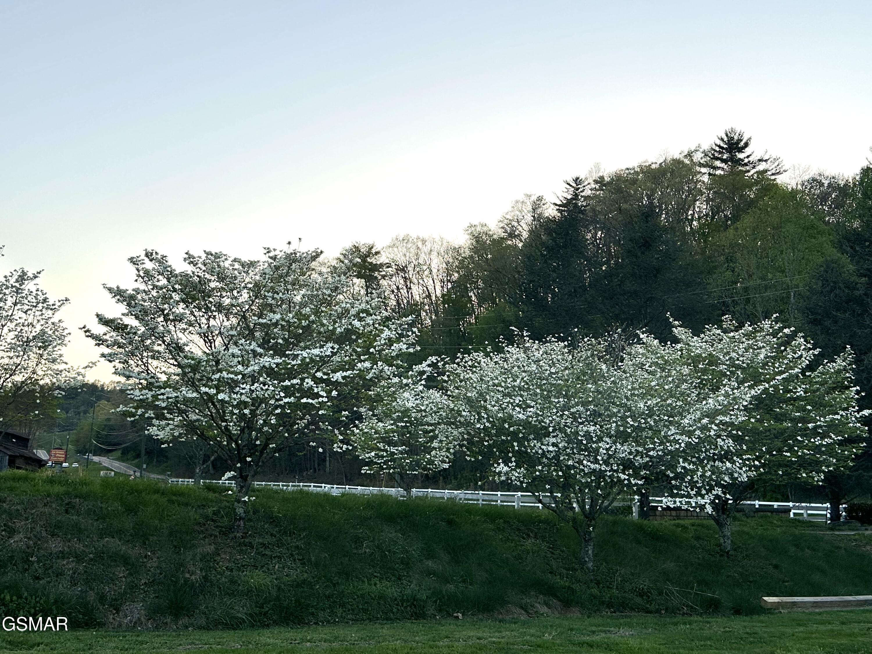 3305 Red Wolfe Road Sevierville TN 37862