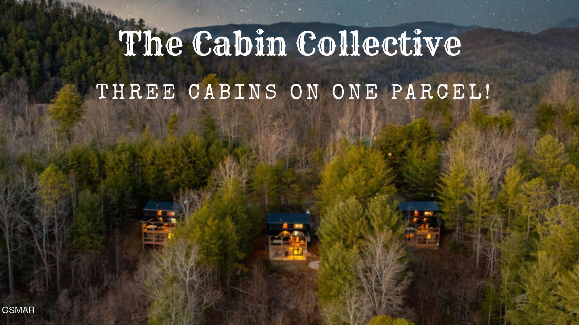 4210 Mountain Rest Way Sevierville TN 37876