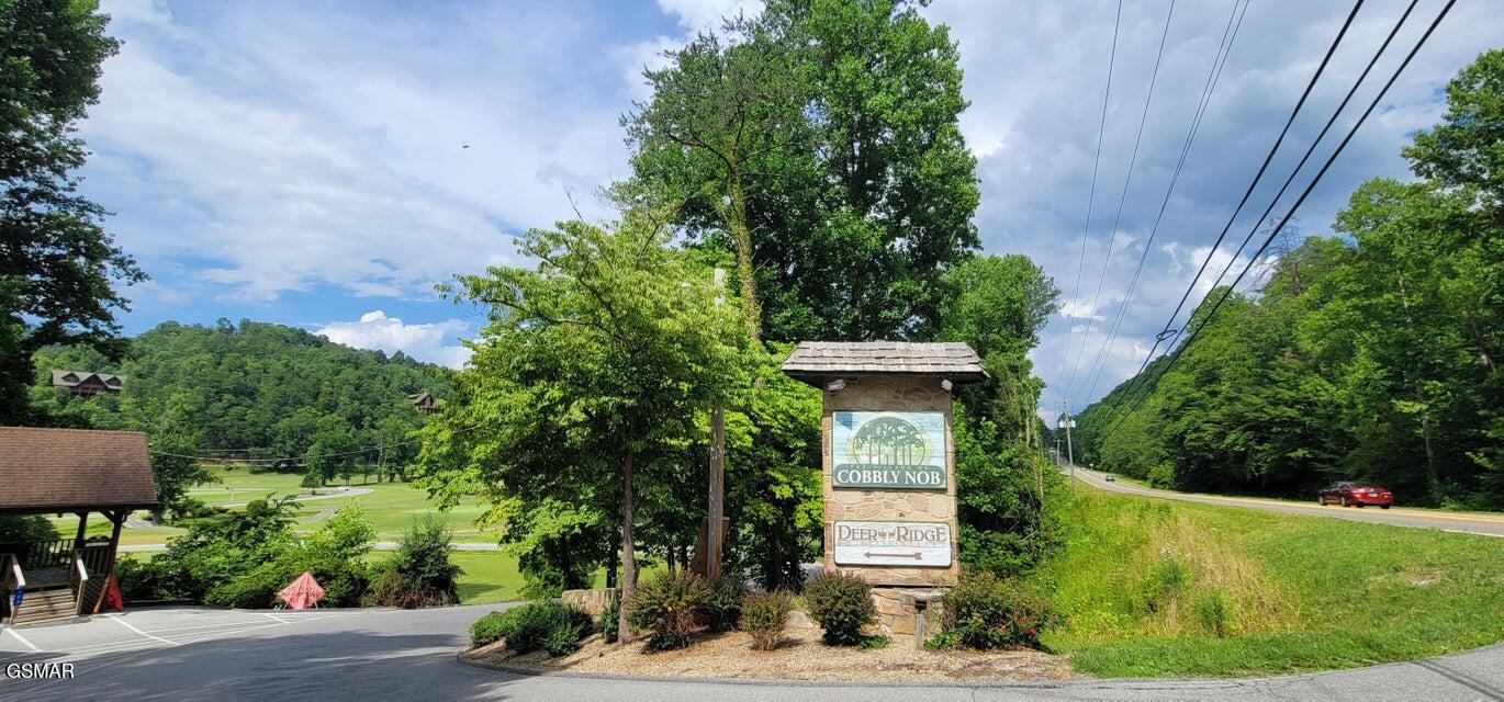 839 Deer Path Lane Gatlinburg TN 37738