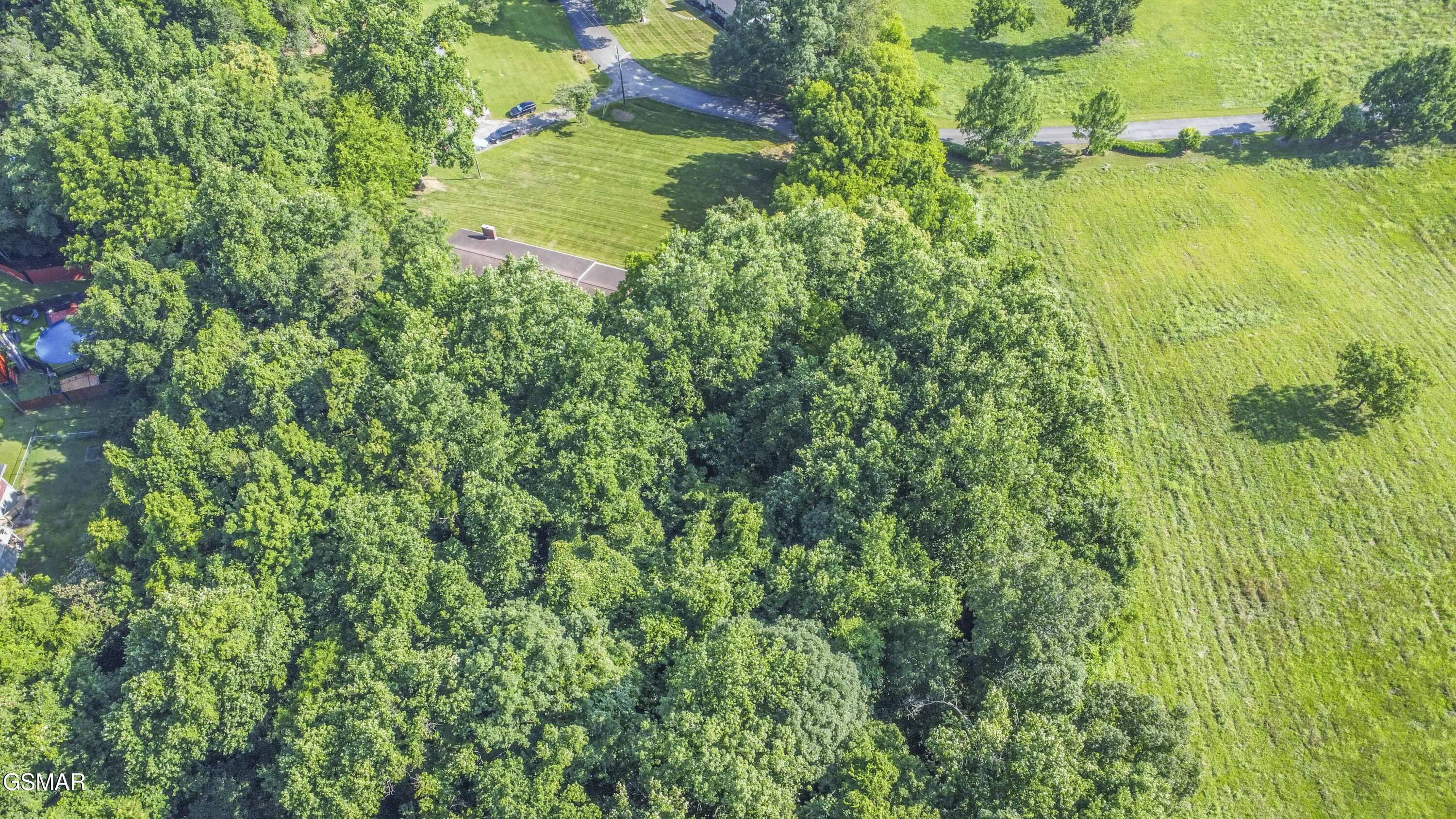 437 Bridge View Lane Knoxville TN 37914