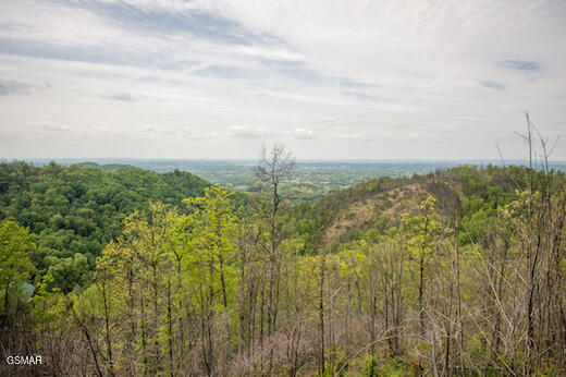 1829 Wild Pine Way Sevierville TN 37876