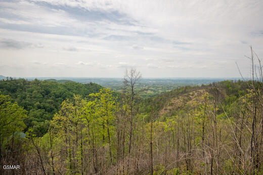 1829 Wild Pine Way Sevierville TN 37876