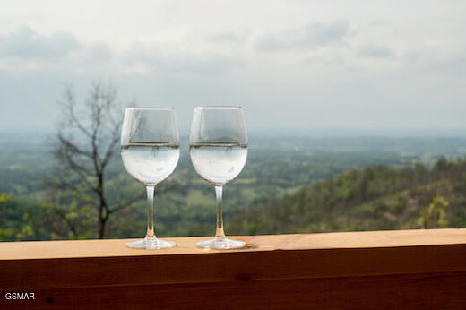 1829 Wild Pine Way Sevierville TN 37876