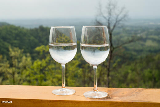 1829 Wild Pine Way Sevierville TN 37876