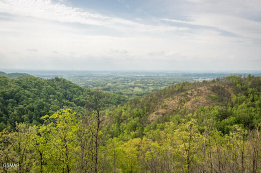 1829 Wild Pine Way Sevierville TN 37876