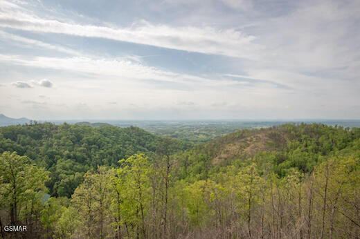 1829 Wild Pine Way Sevierville TN 37876