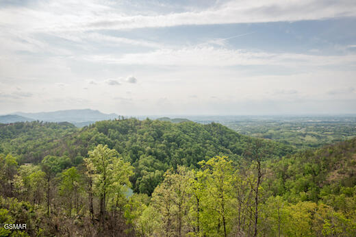 1829 Wild Pine Way Sevierville TN 37876