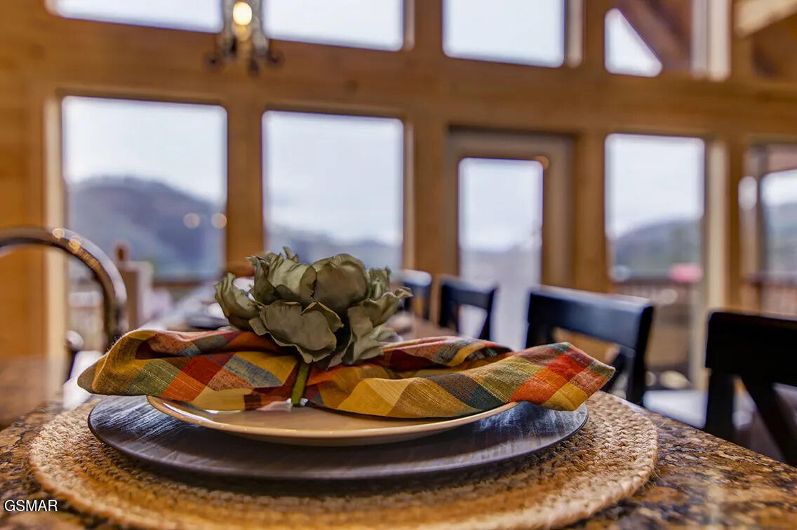 1205 Parkview Vista Way Pigeon Forge TN 37862