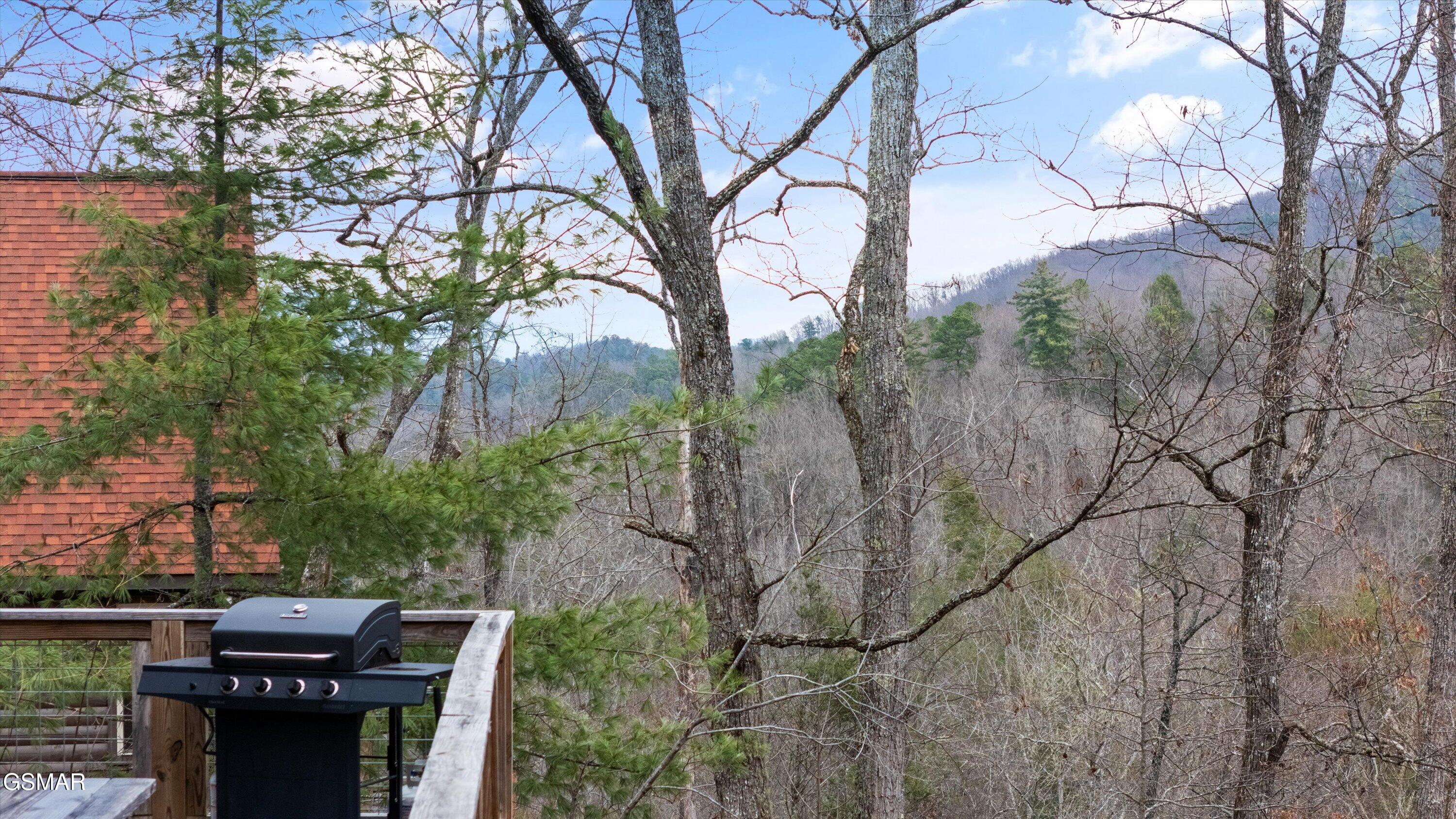 2906 Joyner Hills Lane Sevierville TN 37876