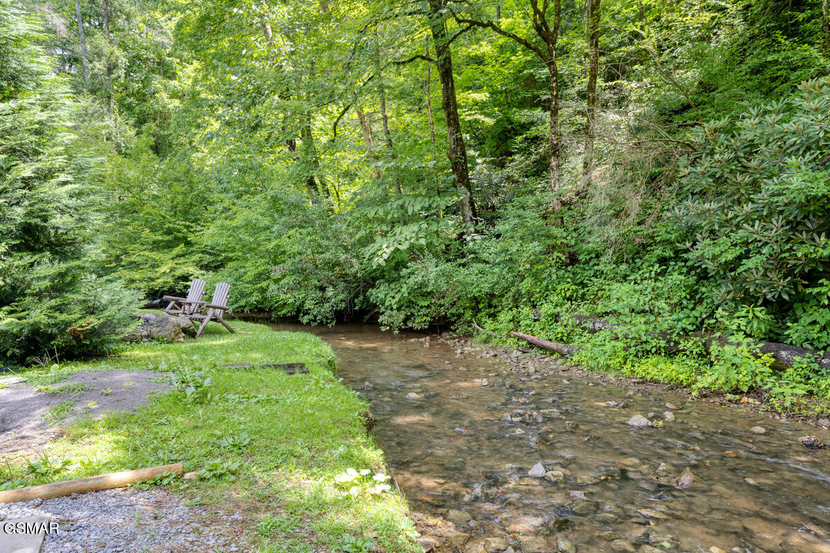 307 Caney Creek Road Pigeon Forge TN 37863