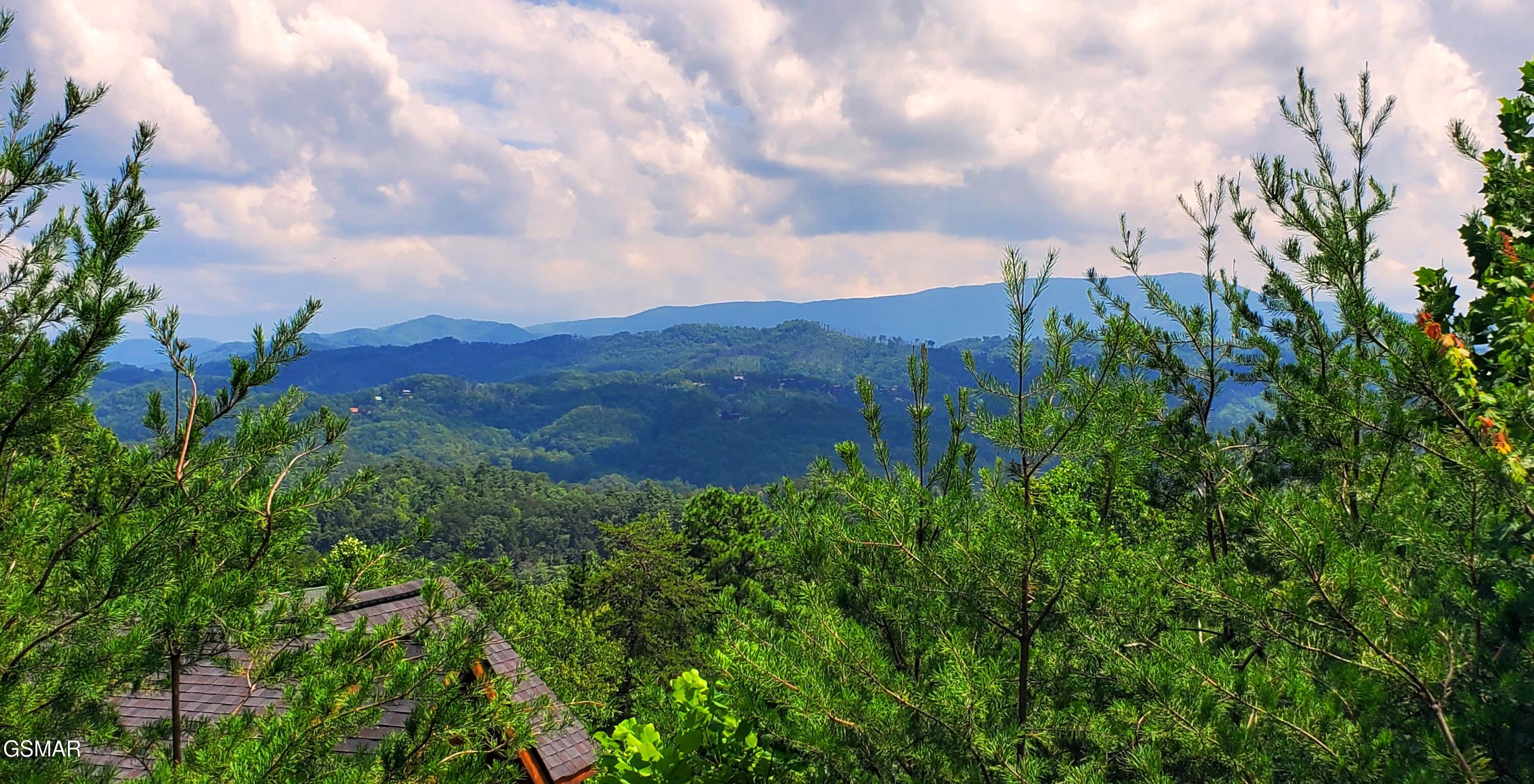 2705 Sawmill Branch Drive Sevierville TN 37862