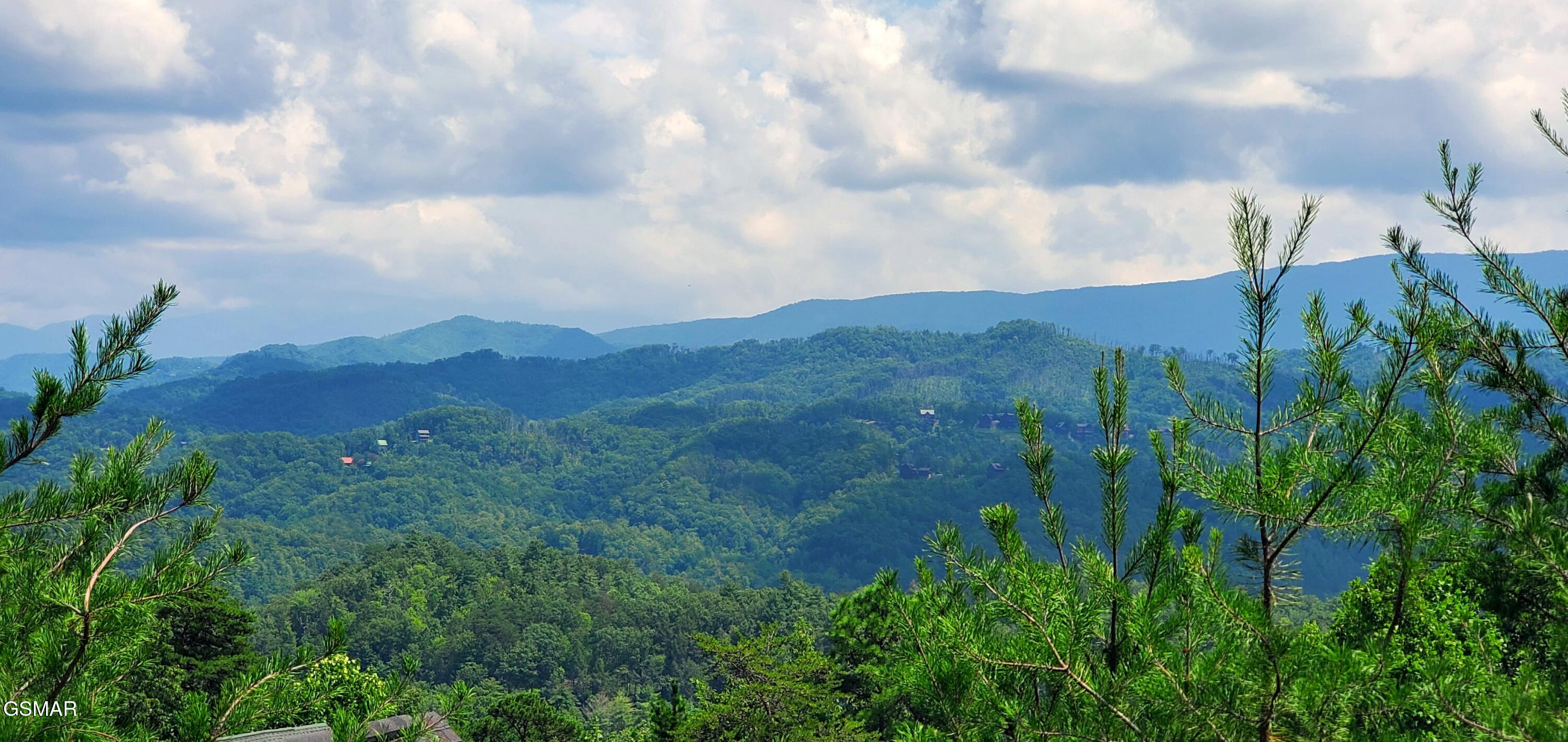 2705 Sawmill Branch Drive Sevierville TN 37862