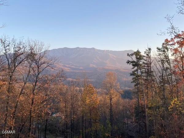 923 Smoky Court Gatlinburg TN 37738