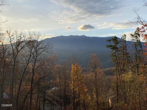 923 Smoky Court Gatlinburg TN 37738
