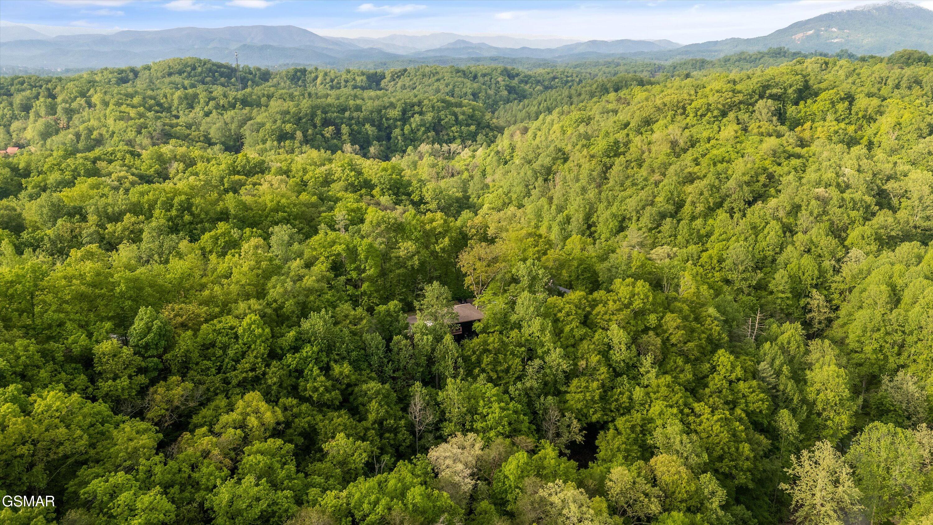 906 Saddle Creek Way Sevierville TN 37862
