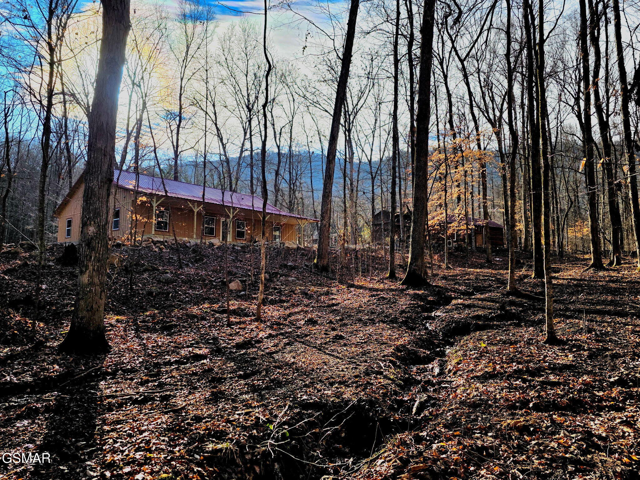 1827 Old Chilhowee Loop Seymour TN 37865