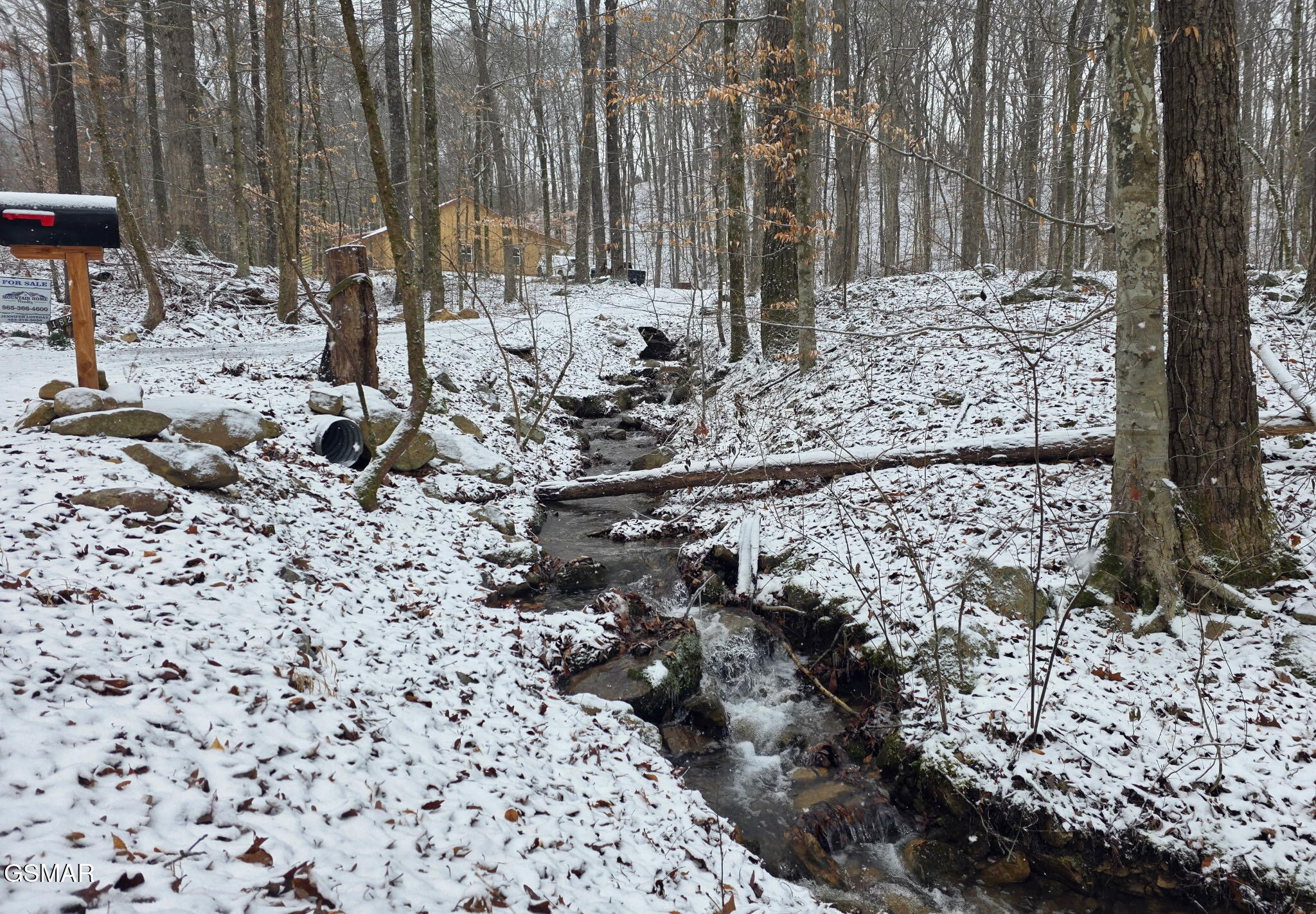 1827 Old Chilhowee Loop Seymour TN 37865