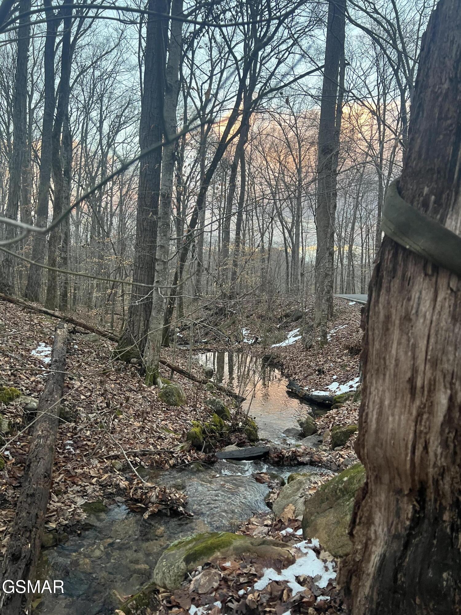 1827 Old Chilhowee Loop Seymour TN 37865