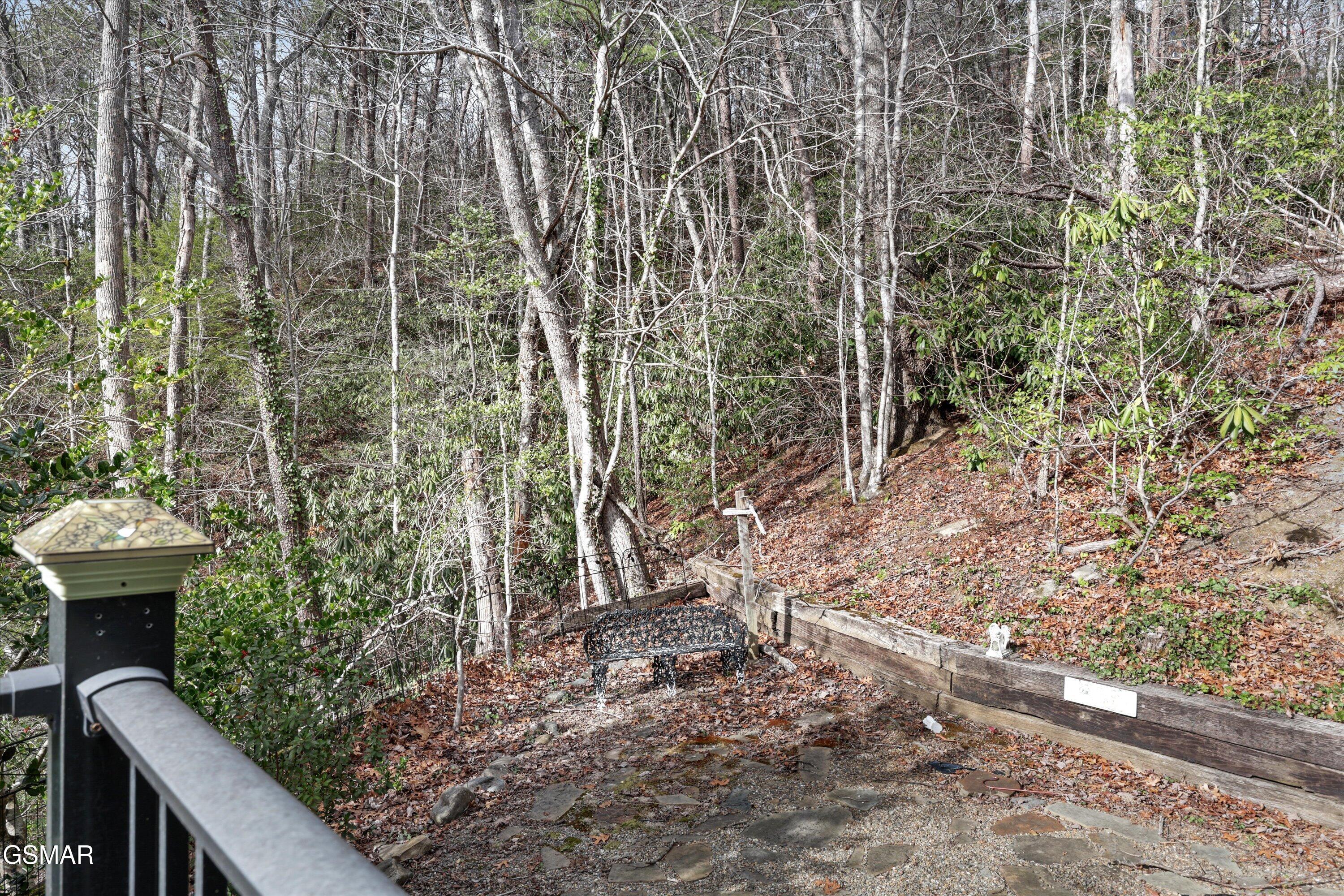 326 Overview Drive Gatlinburg TN 37738