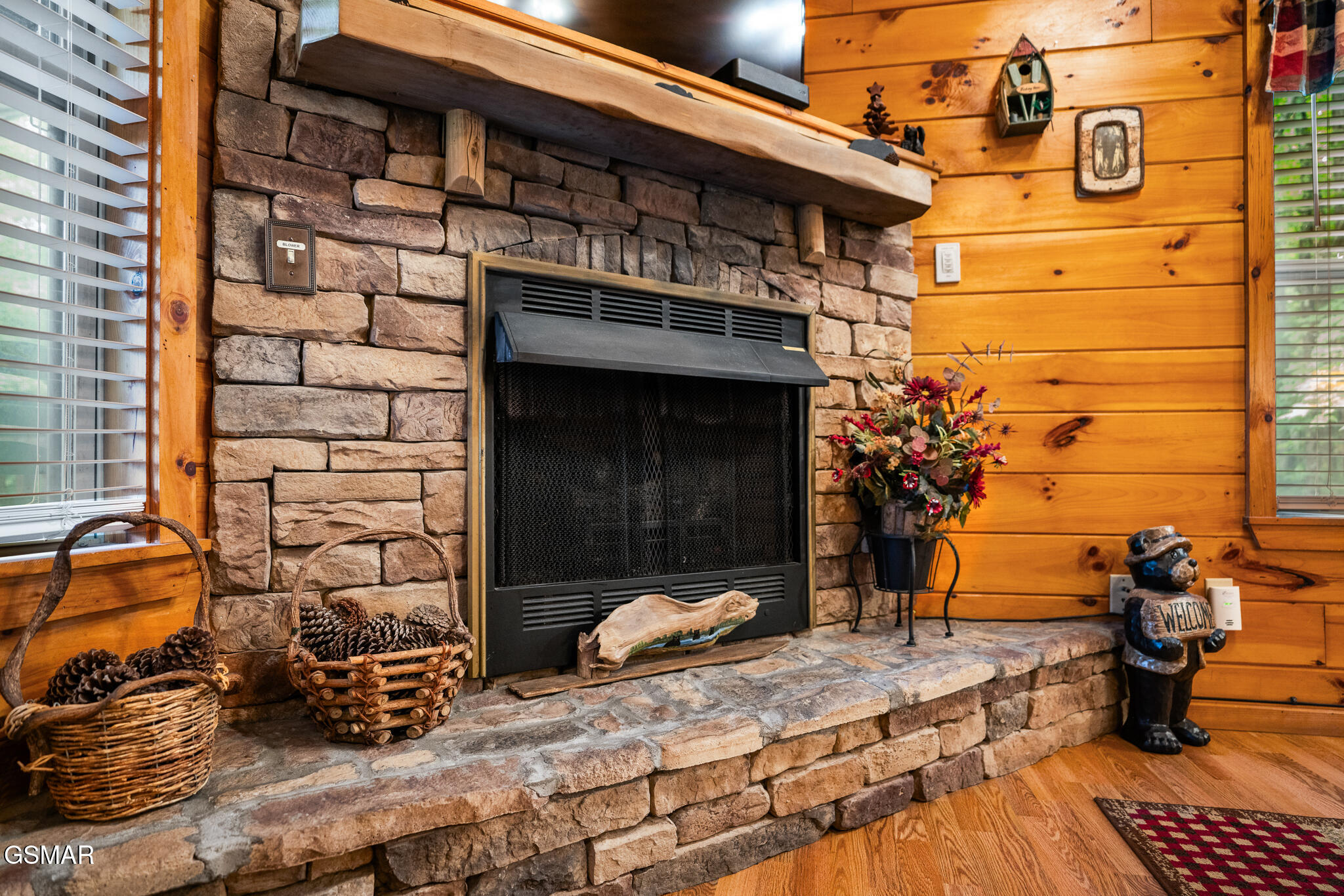 3905 Fern Brook Way Sevierville TN 37862