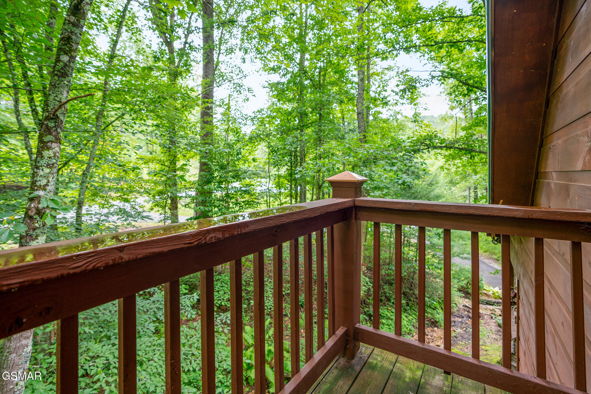 3905 Fern Brook Way Sevierville TN 37862