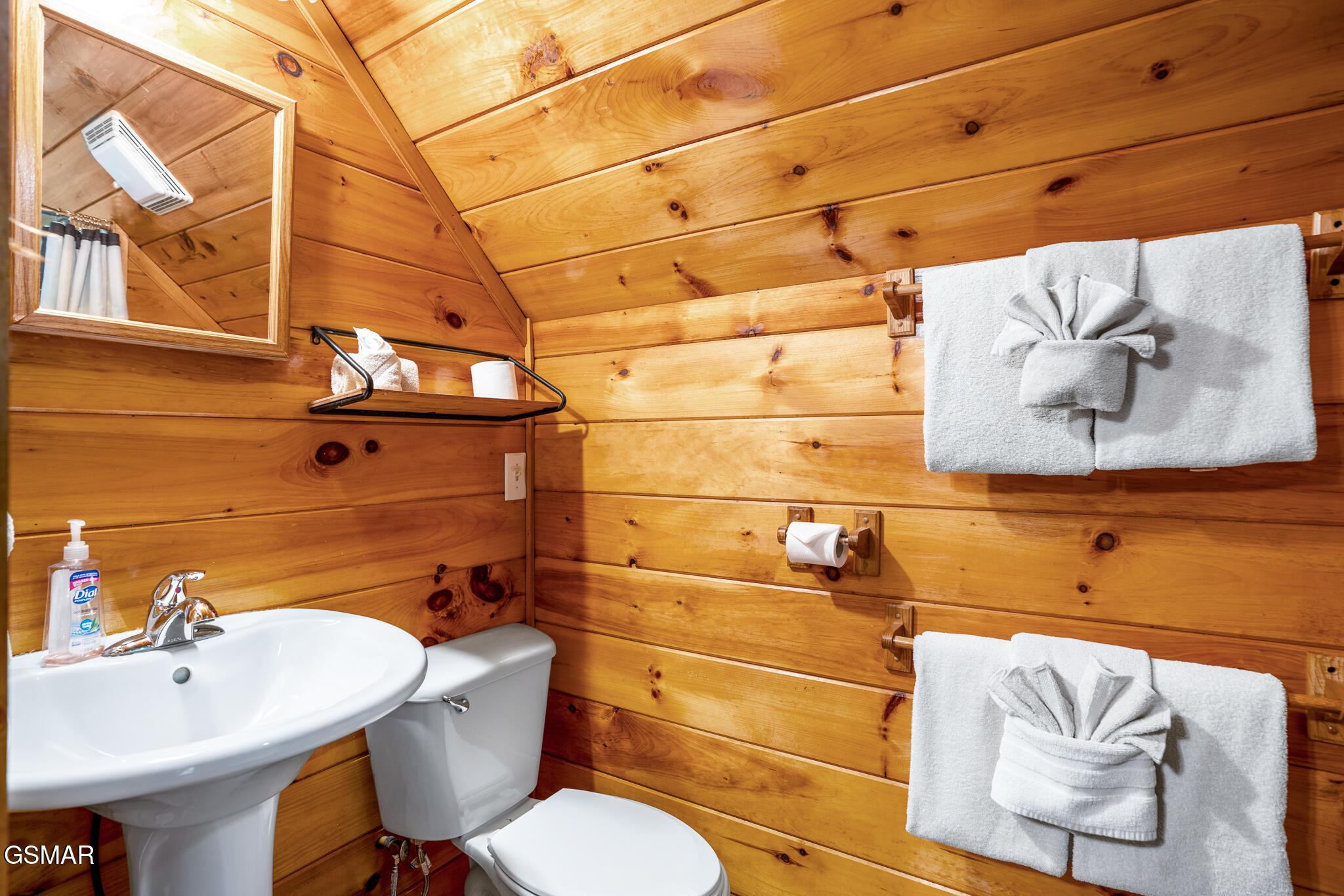 3905 Fern Brook Way Sevierville TN 37862