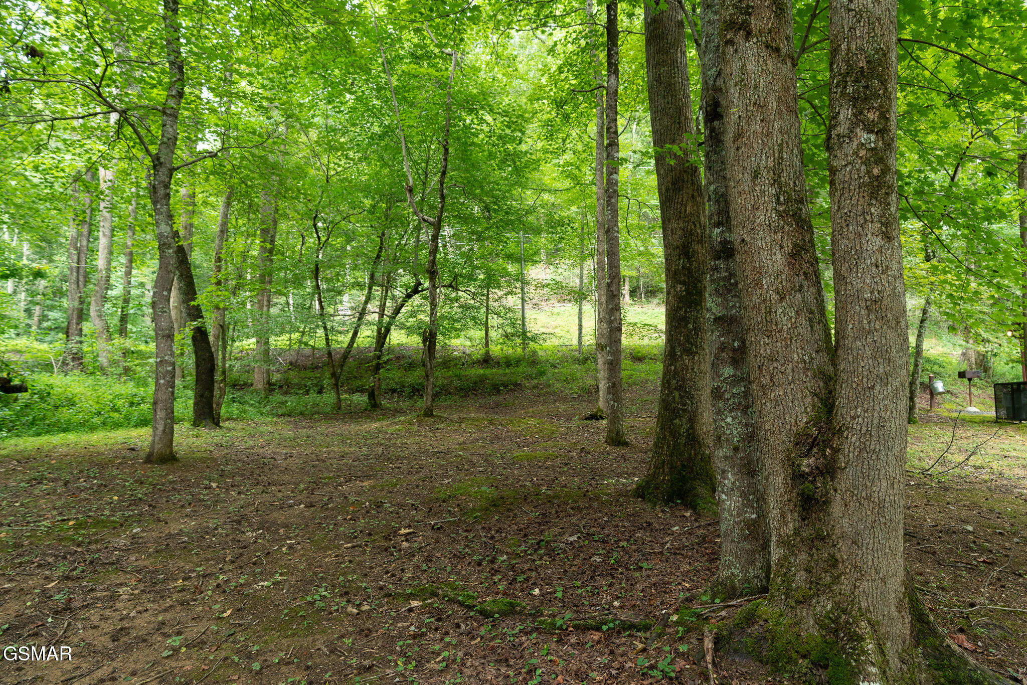 3905 Fern Brook Way Sevierville TN 37862