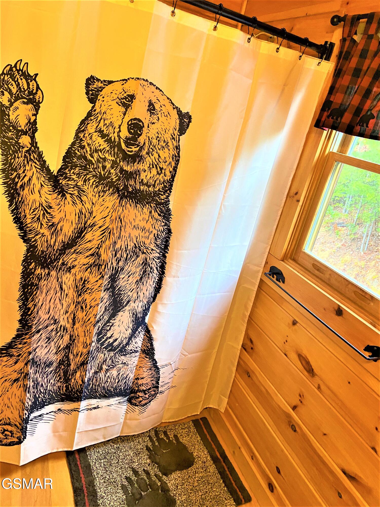 2245 Beach Front Drive Sevierville TN 37876