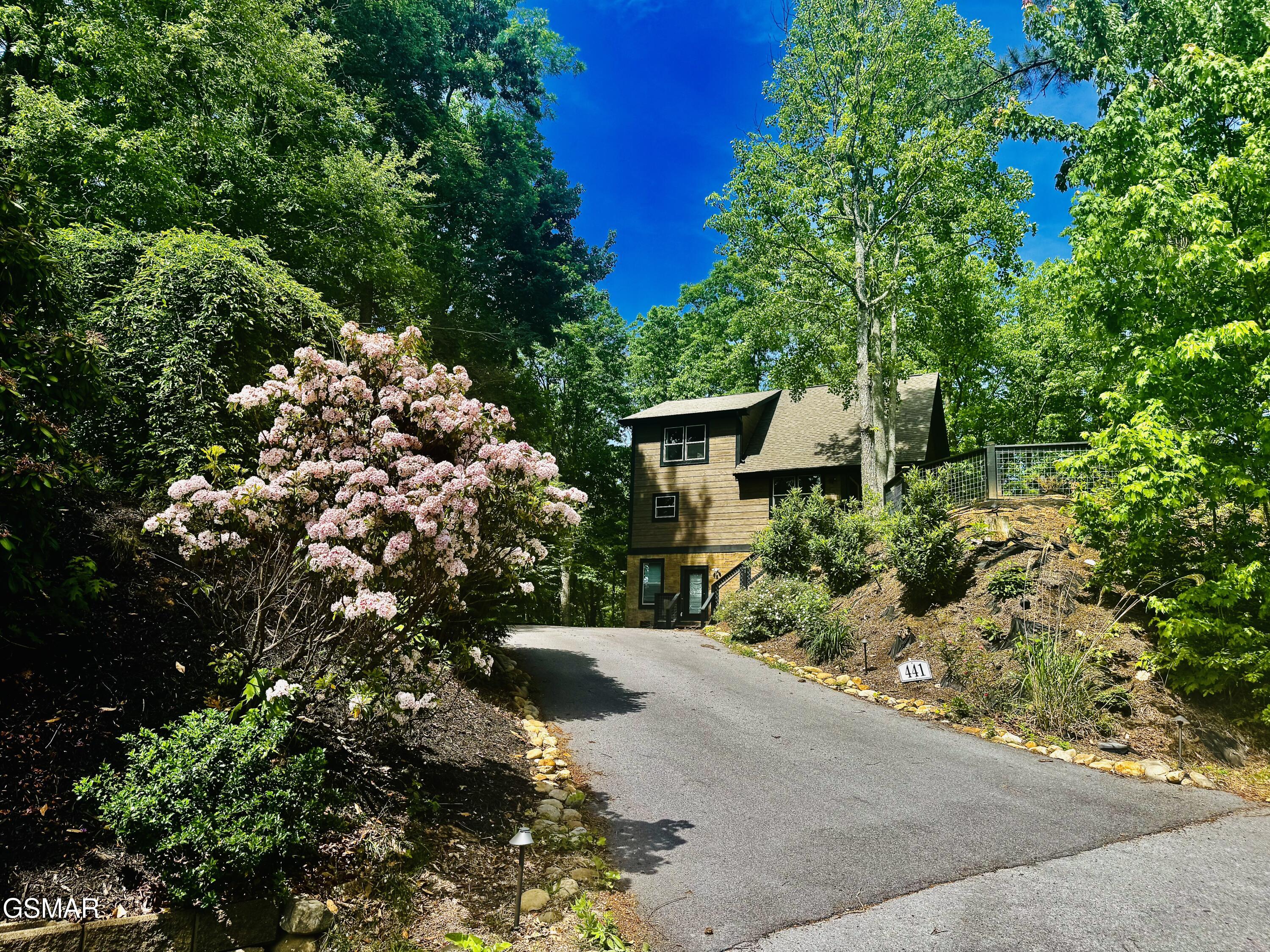 441 Matterhorn Drive Gatlinburg TN 37738